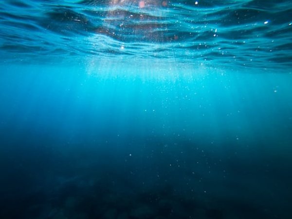 Comment intégrer un système de purification d'eau par ozonation pour une piscine saine ?