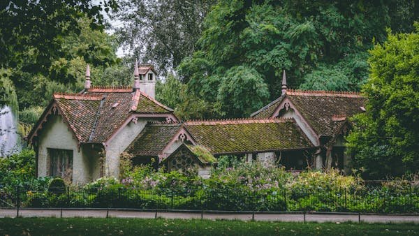 Démoussage toiture : les atouts d'un entretien préventif